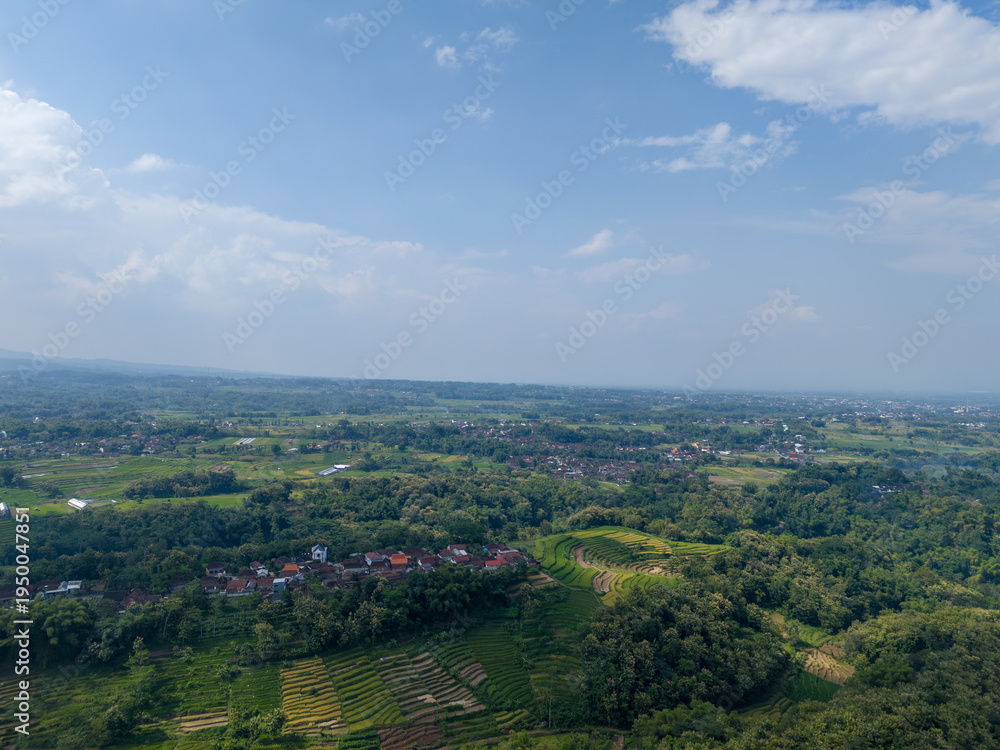 Fototapeta premium Scenic aerial landscape of traditional terraced paddy fields on the fertile slopes of Mount Lawu.
