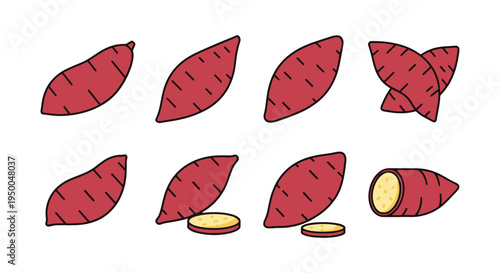 Sweet Potato Line art vector modern blended abstract color