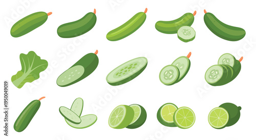 Fresh Cucumber and Lettuce on White Background, crisp vegetable illustration for healthy food, salad ingredients, and cooking concept in clean vector style.