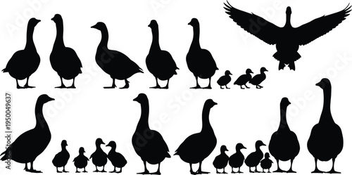 Vector silhouette collection of geese and goslings, featuring adult birds standing, flying, and walking with small chicks in nature, wildlife.