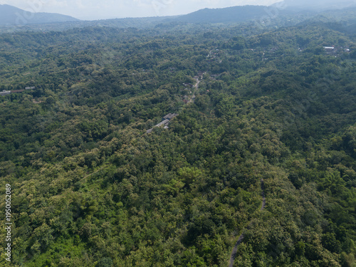 Aerial view of terraced rice fields and a small rural village in a lush green tropical valley.