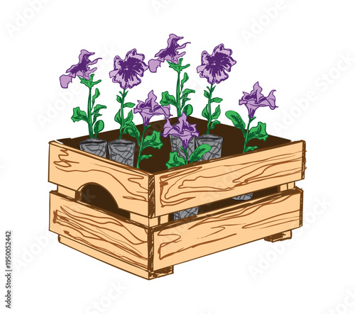 Purple Petunia Flowers in Wooden Planter Box