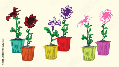 Petunia Flower Plant Set – Red, Purple, Pink Blooms