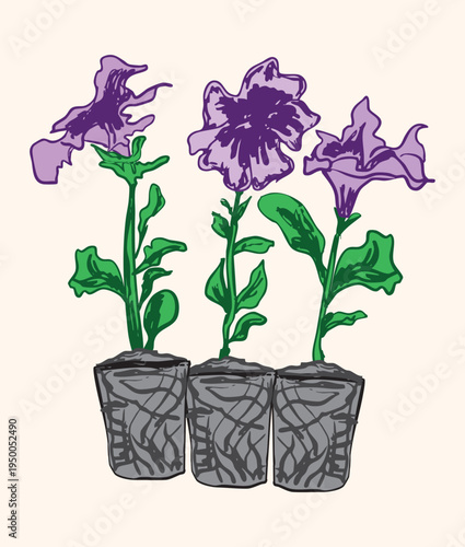 Purple Petunia Flower Potted Plant