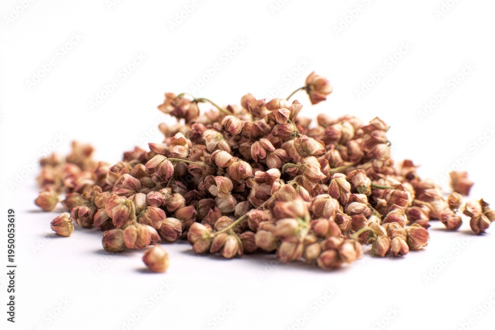 Obraz premium Close up of fresh red berries, ready for consumption, harvest, or culinary use.