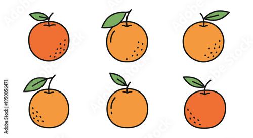 Tangerine Line art vector set colorful abstract design concept illustration