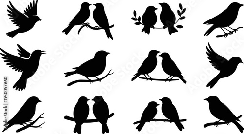 Bird silhouettes collection set, flying and perched birds on branches, love couple birds, wildlife nature black vector illustration
