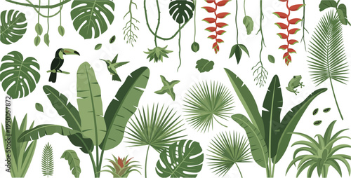 Tropical plants and leaves with toucan on white background illustration for nature designs and projects