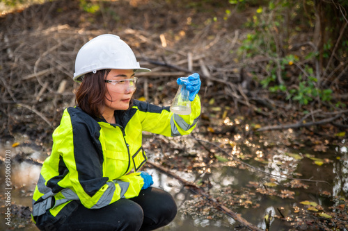 Environmental Monitoring and Water Quality Testing in Natural Ecosystem