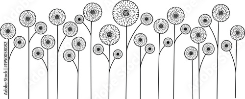 Hand Drawn Dandelion Flower Border Set Featuring Minimalist Botanical Line Art Illustration With Black Floral Stems Isolated On White Background