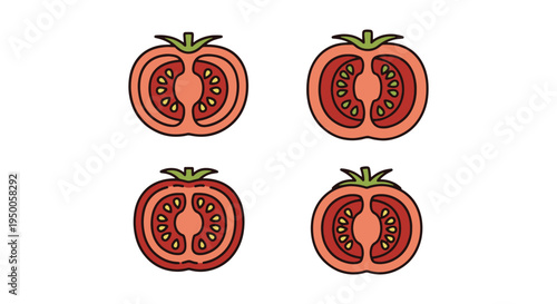 Tomato Half Line art vector colorful modern abstract design illustration