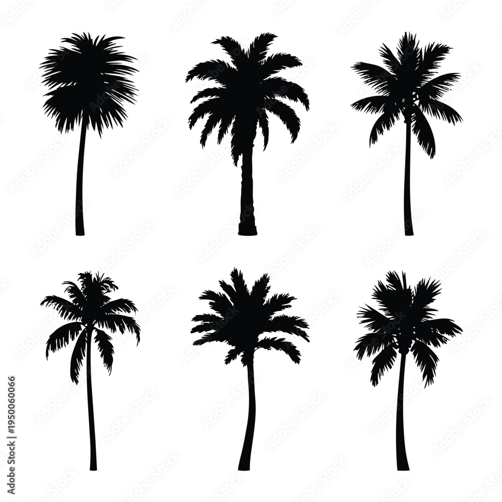 Fototapeta premium A collection of six distinct black silhouettes of tropical palm trees isolated on white background
