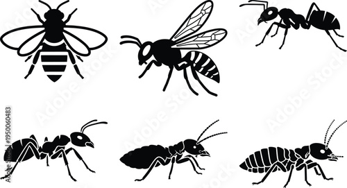 Black silhouettes of various insects on white background