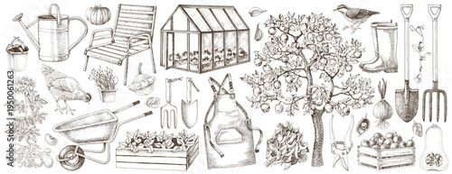 Horticulture and gardening vector set