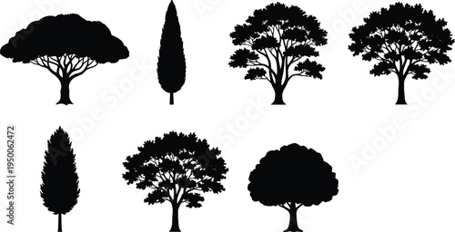 Collection of tree silhouettes isolated on white background, vector set of cypress, oak and forest trees for landscape design illustration