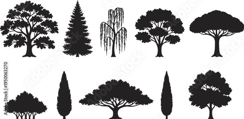 Collection of tree silhouettes isolated on white background, vector set of oak, pine, willow and garden trees for landscape design illustration