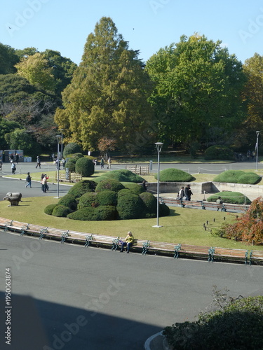 公園の風景
