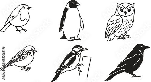 A diverse set of bird species featuring minimalist black and white line art vector illustrations ideal for educational materials and graphic design projects