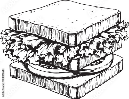 Black and white sandwich vector illustration with bread lettuce tomato layers for food design