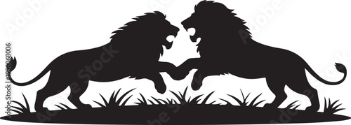 Two Black Lions Fighting on Grassy Savannah white background