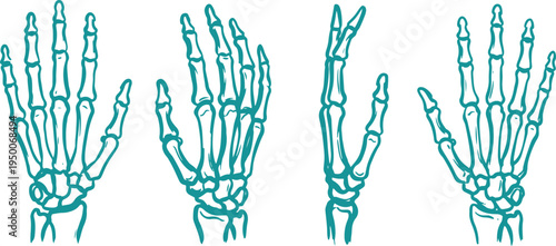 Hand Drawn Human Skeleton Hand Set Vector Illustration, Anatomical Bone Hand Sketch Collection.