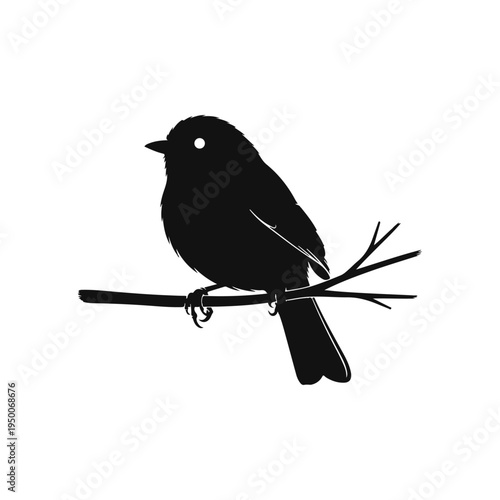 bird on a branch