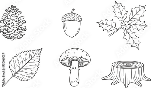 Set of detailed outline illustrations depicting various forest and autumn elements such as a pine cone acorn and mushroom perfect for nature-themed designs or coloring books