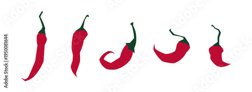 Red chili pepper collection with different curved shapes and stems. Spicy hot vegetable ingredient isolated vector set
