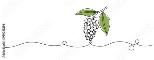 Grape cluster hanging from stem over continuous line drawing. no editable strokes