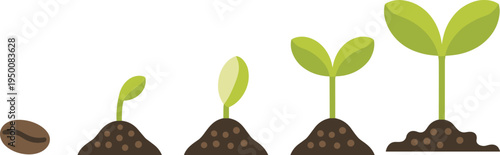 Plant growth stages illustration, seed germination process, sprout development cycle, agriculture, gardening, nature growth concept vector