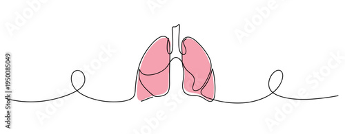 Human lungs isolated in minimal continuous line drawing. no editable strokes