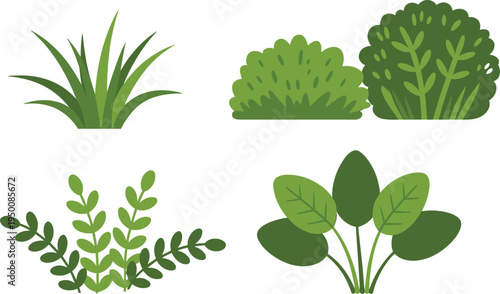 Green plant collection set, decorative bushes leaves grass botanical nature garden flat illustration design