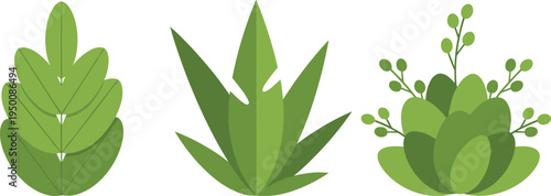 Vector illustration set of stylized green plants featuring broad leaves, pointed foliage, clustered buds, botanical designs, and decorative icons.