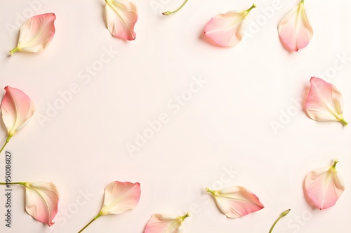 Rose Petals Border on Light Background