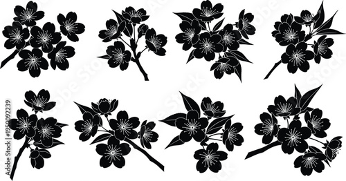 Black silhouette cherry blossom branches with detailed petals and stamens on white background sakura