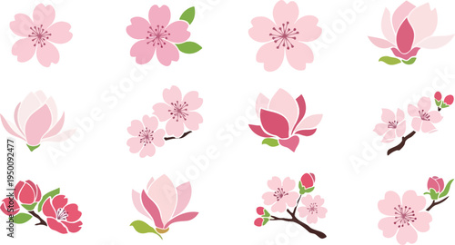 Collection of stylized pink cherry blossoms and magnolias with green leaves on white background sakura