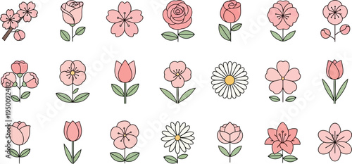 Collection of pink and white flowers with green leaves on a white background floral