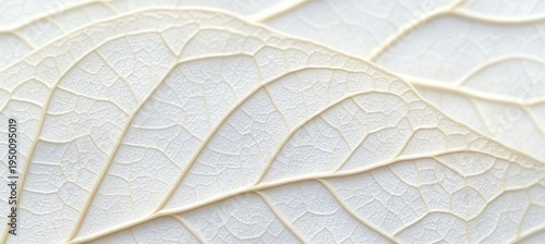 Ethereal White Leaf Veins on Soft Beige Background Captivating Natural Elegance in Macro Detail
