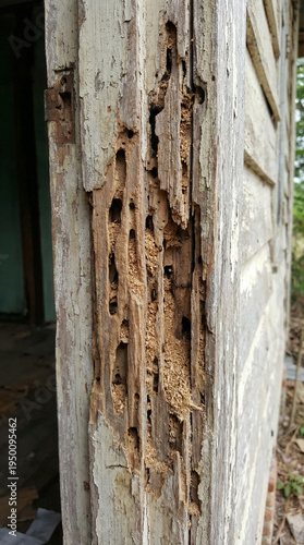 A wooden door has holes in it