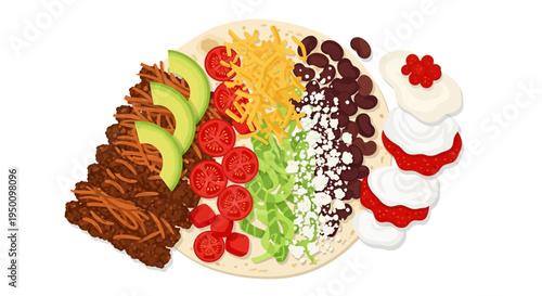 Flat lay illustration of a burrito ingredients composition including tortilla wrap, rice beans, grilled chicken, beef filling, fresh vegetables, tomato salsa, guacamole, sour cream,