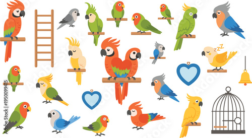 Colorful parrots and tropical birds cartoon vector collection with macaws, cockatoos, cages and perches illustration set for pet and wildlife design