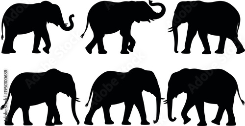 Set of elephant silhouettes in various poses including walking and standing, wild african animal black icon collection