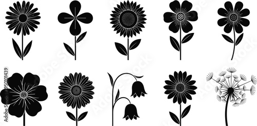 Flower silhouette collection with sunflower daisy dandelion botanical plants floral nature elements isolated vector illustration design set