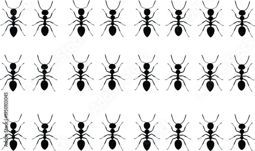 Black ant silhouette icon set isolated on white background for insect design