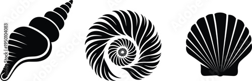 Collection of seashell silhouette illustrations including spiral conch and scallop shell for beach themes
