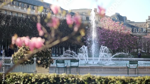Scenic view of a fountain surrounded by blooming pink magnolias in a park in Paris, France.