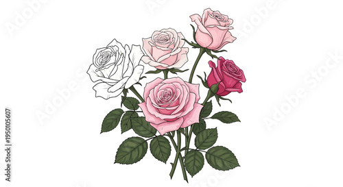 A bouquet of roses in various shades of pink and white