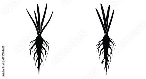 Two black silhouettes of plants with spiky leaves and root systems