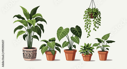 Collection of six houseplants in decorative pots on a neutral background