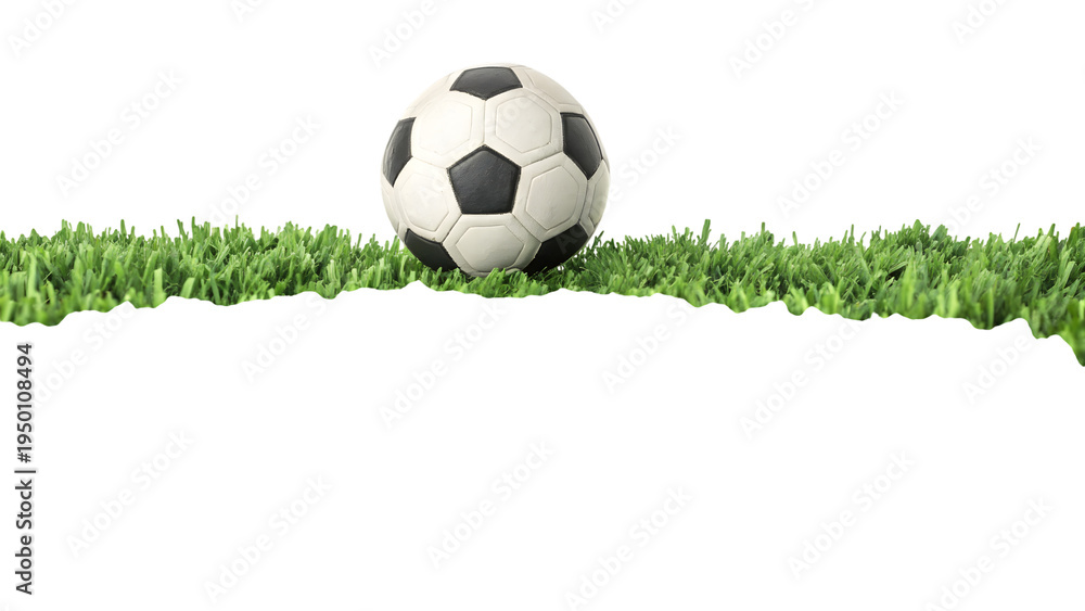 Fototapeta premium Soccer ball on green grass isolated on a transparent background black